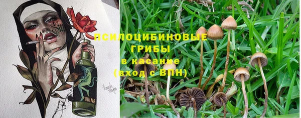 каннабис Костерёво