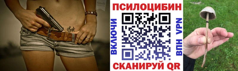 Галлюциногенные грибы GOLDEN TEACHER  площадка клад  Чистополь 