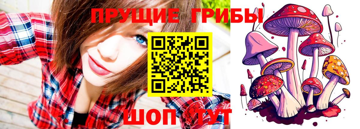 Псилоцибиновые грибы прущие грибы Чистополь